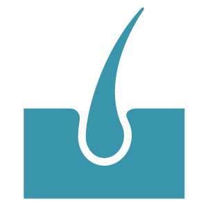 Cortex-Protection